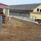 Garabonciás Farm és a 7 Vezér Történelmi Kalandpark Garabonc - Egyéb