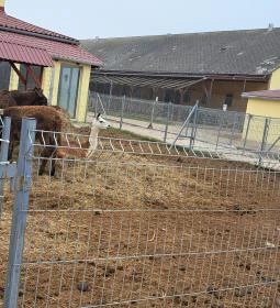 Garabonciás Farm és a 7 Vezér Történelmi Kalandpark