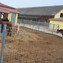 Garabonciás Farm és a 7 Vezér Történelmi Kalandpark Garabonc - Egyéb