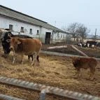 Garabonciás Farm és a 7 Vezér Történelmi Kalandpark Garabonc - Egyéb