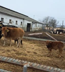 Garabonciás Farm és a 7 Vezér Történelmi Kalandpark