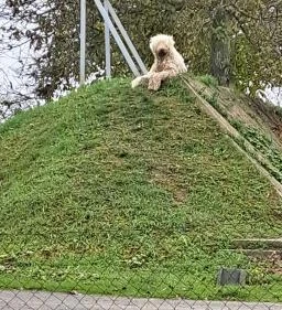 Garabonciás Farm és a 7 Vezér Történelmi Kalandpark