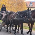 Garabonciás Farm és a 7 Vezér Történelmi Kalandpark Garabonc - Egyéb