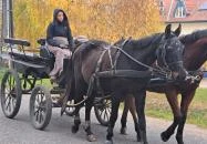 Garabonciás Farm és a 7 Vezér Történelmi Kalandpark Garabonc