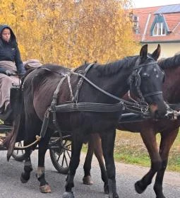 Garabonciás Farm és a 7 Vezér Történelmi Kalandpark