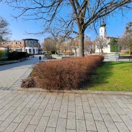 Gödöllői református templom Gödöllő - Egyéb