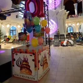 Makói Hagymatikum Gyógyfürdő, Makó - Egyéb