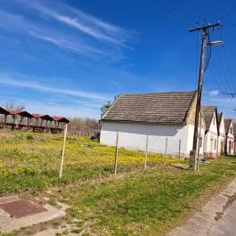 Hajósi pincefalu Hajós - Egyéb