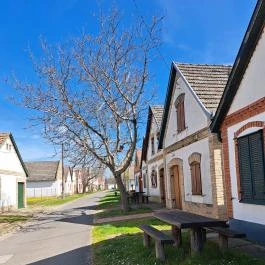 Hajósi pincefalu Hajós - Egyéb