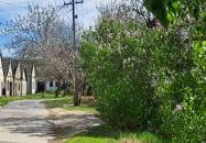 Hajósi pincefalu Hajós