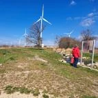 Hallépcső Mosonmagyaróvár - Egyéb