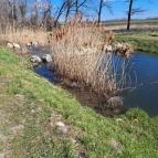 Hallépcső Mosonmagyaróvár - Egyéb