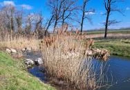 Hallépcső Mosonmagyaróvár