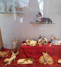 Hansági Múzeum - Cselley Ház