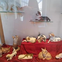 Hansági Múzeum - Cselley Ház Mosonmagyaróvár - Egyéb