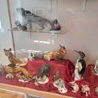 Hansági Múzeum - Cselley Ház Mosonmagyaróvár - Egyéb