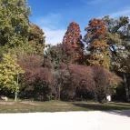 Szabadkígyósi Wenckheim-kastély Szabadkígyós - Egyéb