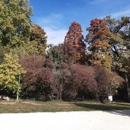 Szabadkígyósi Wenckheim-kastély Szabadkígyós - Egyéb