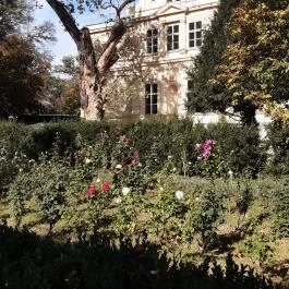 Szabadkígyósi Wenckheim-kastély Szabadkígyós - Egyéb