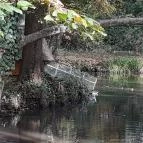 Szabadkígyósi Wenckheim-kastély Szabadkígyós - Egyéb