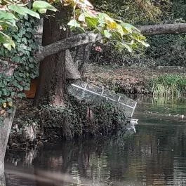 Szabadkígyósi Wenckheim-kastély Szabadkígyós - Egyéb