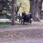 Szabadkígyósi Wenckheim-kastély Szabadkígyós - Egyéb