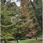 Szabadkígyósi Wenckheim-kastély Szabadkígyós - Egyéb