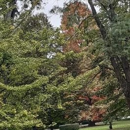 Szabadkígyósi Wenckheim-kastély Szabadkígyós - Egyéb