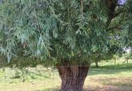 Hatvani Vadaspark Hatvan