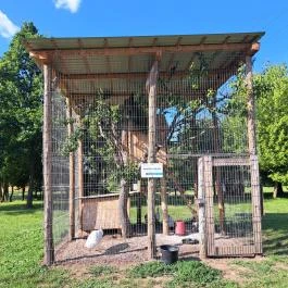 Hatvani Vadaspark Hatvan - Egyéb