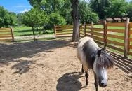 Hatvani Vadaspark Hatvan