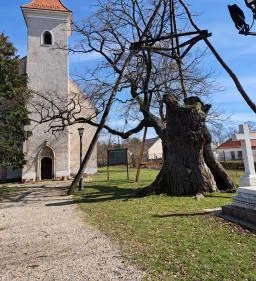 Hédervári Boldogasszony kápolna