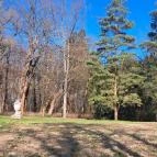 Hédervári kastély Hédervár - Egyéb