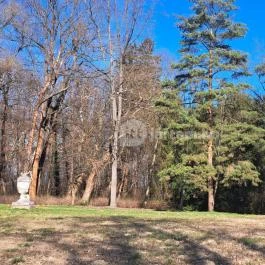 Hédervári kastély Hédervár - Egyéb