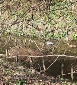 Hédervári kastély