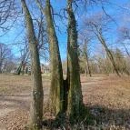 Hédervári kastély Hédervár - Egyéb