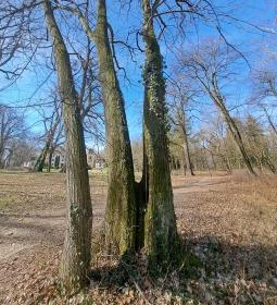 Hédervári kastély