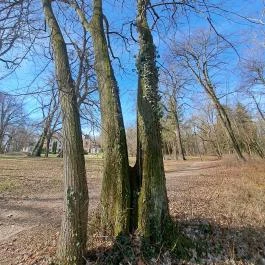 Hédervári kastély Hédervár - Egyéb