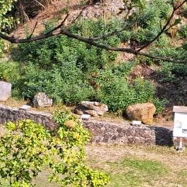 Hegyestű Geológiai Bemutatóhely, Monoszló - Egyéb