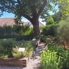 Herba-kastély Tolcsva - Egyéb