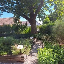 Herba-kastély Tolcsva - Egyéb