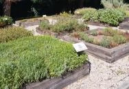 Herba-kastély Tolcsva