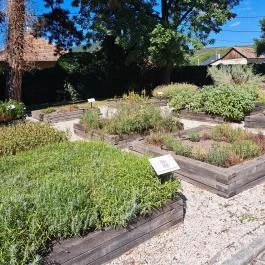 Herba-kastély Tolcsva - Egyéb