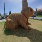 Húsvéti tojásfa Kéthely - Egyéb