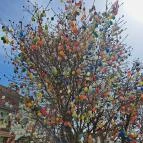 Húsvéti tojásfa Kéthely - Egyéb