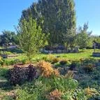 Iskolai tankert Csömör - Egyéb