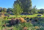 Iskolai tankert Csömör