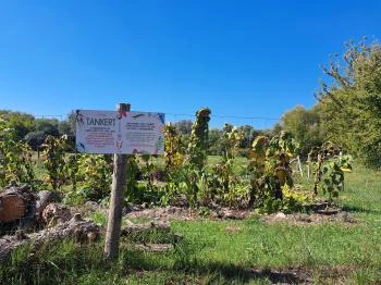 Iskolai tankert Csömör