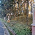 Isteni Irgalmasság templom Zalakaros - Egyéb