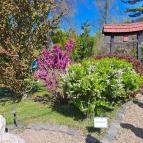 Zuglói Japánkert Budapest - Egyéb